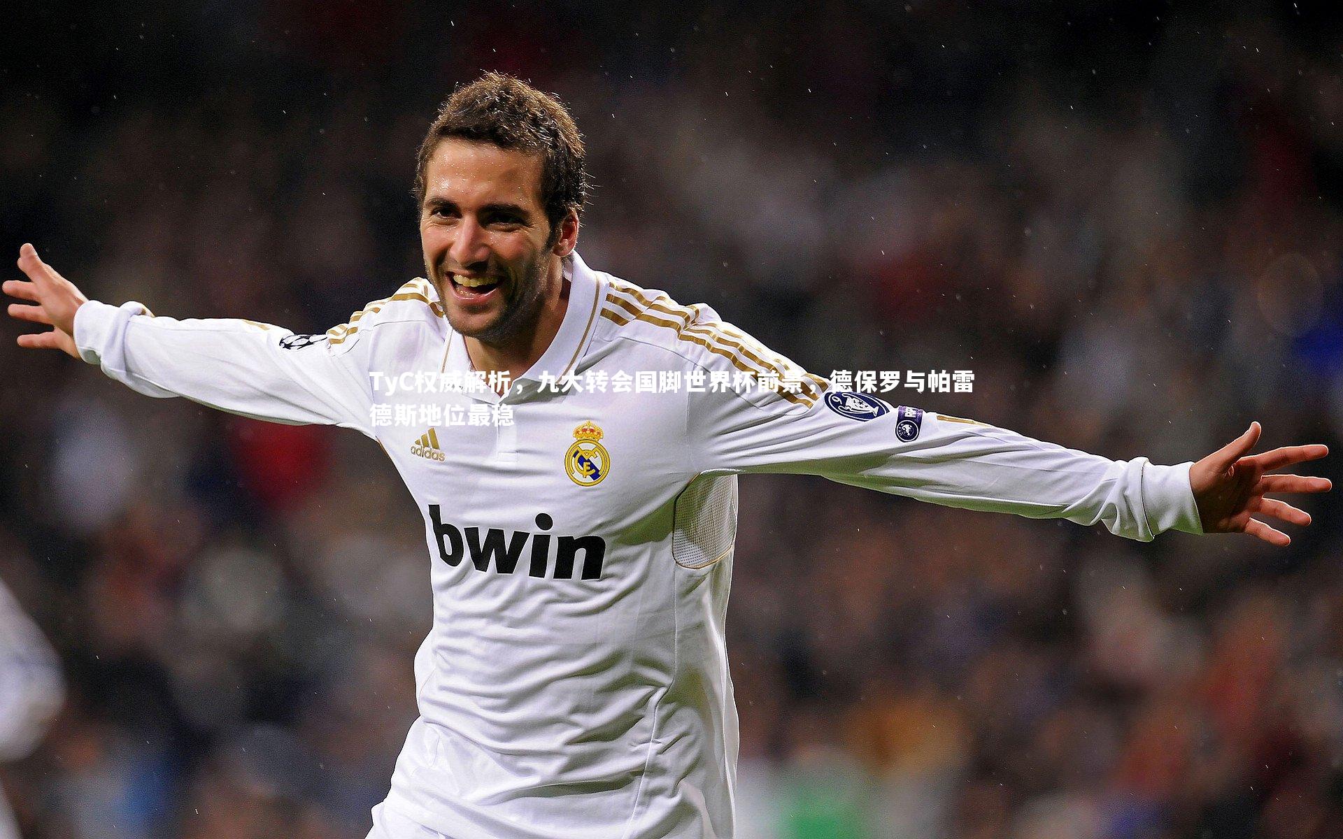 芒果体育官方-TyC权威解析，九大转会国脚世界杯前景，德保罗与帕雷德斯地位最稳